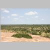 Matekenyane_KrugerPark.jpg